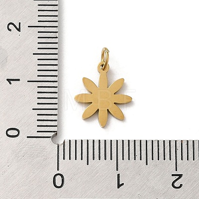 304 Stainless Steel Charms STAS-K263-32G-1