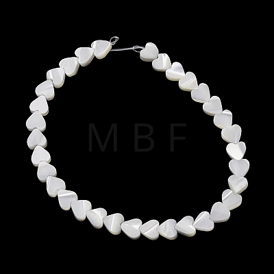 Natural Trochid Shell/Trochus Shell Beads Strands SH-CBA2978-19A-1