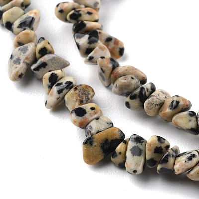 Natural Dalmatian Jasper Beads Strands G-G0003-B29-1