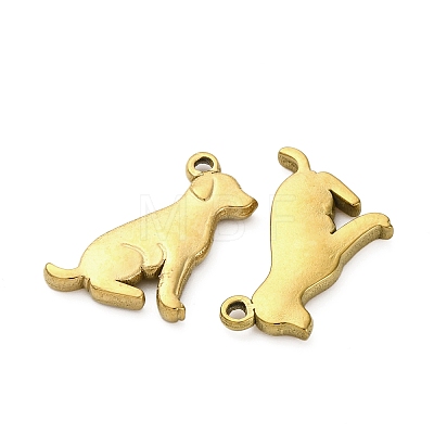 304 Stainless Steel Pendants STAS-Z142-19G-1