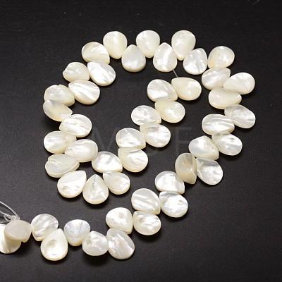 Natural Trochid Shell/Trochus Shell Beads Strands SSHEL-K009-06-1