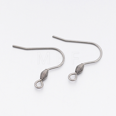 Tarnish Resistant 304 Stainless Steel Earring Hooks X-STAS-E074-42-1