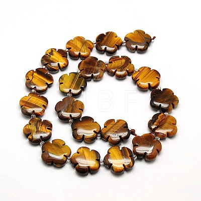 Natural Tiger Eye Flower Beads Strands G-L241A-04A-1