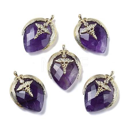 Natural Amethyst Pendants G-U019-01G-06-1