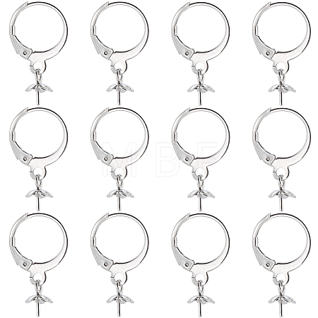 40Pcs 304 Stainless Steel Leverback Earring Findings STAS-SC0006-49-1