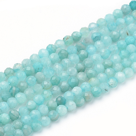 Natural Amazonite Beads Strands G-Q961-14-3mm-1
