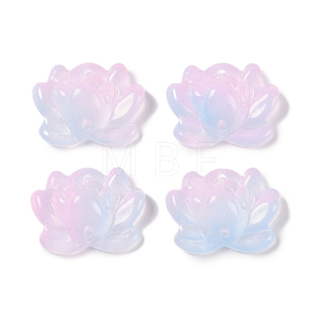 Baking Paint Glass Beads GLAA-S202-13C-1