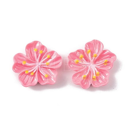Resin Cabochons OACR-U002-03A-1