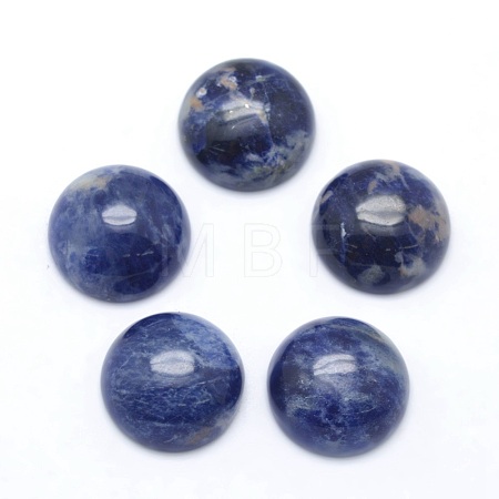 Natural Sodalite Cabochons X-G-P393-R45-10MM-1