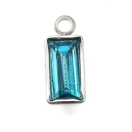 304 Stainless Steel Rhinestone Pendants STAS-Z125-12J-P-1