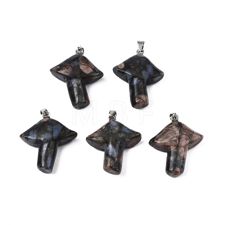 Natural Glaucophane Pendants G-R480-02J-1