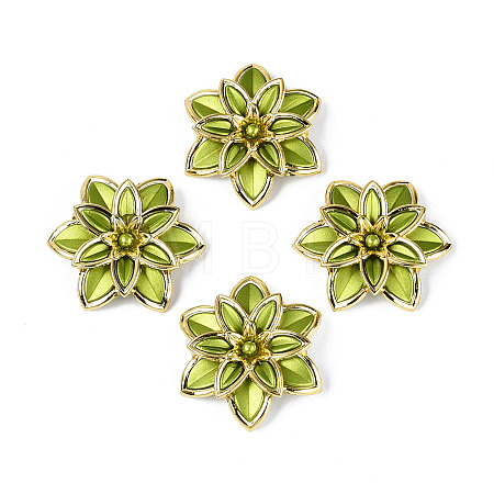 Matte Spray Painted Acrylic Beads OACR-N159-01A-1