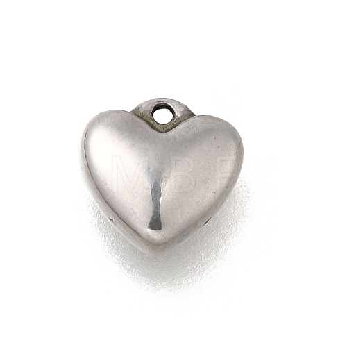 304 Stainless Steel Charms STAS-C119-16P-1