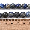 Natural Lapis Lazuli Round Bead Strands G-E262-01-10mm-3