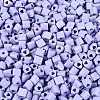 FGB Baking Paint Glass Seed Beads SEED-Q040-09A-15-3
