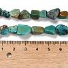 Natural HuBei Turquoise Beads Strands X-G-P497-01E-19-5