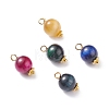 Natural Tiger Eye Charms PALLOY-JF01118-1