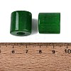 Natural Malaysia Jade European Beads G-P520-05N-2