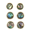 3 Pairs Flat Round Natural Paua Shell Stud Earrings for Women EJEW-JE07126-2