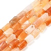 Natural Botswana Agate Beads Strands G-G068-A18-01-1