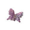 Butterfly Acrylic Claw Hair Clips PW-WG49228-03-1