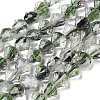 Inner Flower Handmade Lampwork Beads Strands LA-CBA3F7A-02B-1