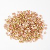 Back Plated Grade A Diamond Glass Pointed Rhinestone LS-RGLA-SS16-023-2