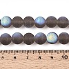 Frosted Transparent Glass Beads Strands GLAA-T032-T10mm-MBB02-4