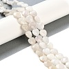 Natural Rainbow Moonstone Beads Strands G-G118-A01-01-2