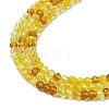 Transparent Glass Beads Strands GLAA-H027-01H-4