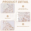 2Pcs Shell Cabochons Sheets AJEW-GO0002-11-5