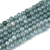 Natural Jadeite Beads Strands G-N353-07A-01-2