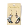 Abalone Shell/Paua Shell Dangle Earrings EJEW-F147-C15-2