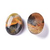 Natural Bumblebee Jasper Cabochons G-A179-01F-2