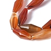 Dyed & Heated Natural Carnelian Beads Strands G-Q019-A02-3