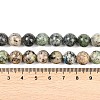 Natural K2 Stone Beads Strands G-K405-B03-10mm-6