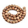 Natural Picture Jasper Beads Strands G-T138-140-2