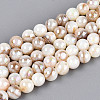 AB Color Natural Freshwater Shell Beads Strands X-BSHE-T014-40B-1