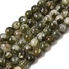 Natural Green Lepidolite Beads Strands G-K350-B01-6mm-2
