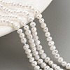Natural Cultured Freshwater Pearl Beads Strands PEAR-C003-06G-2