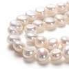 Natural Cultured Freshwater Pearl Beads Strands PEAR-L033-52-01-2