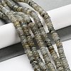 Natural Labradorite Beads Strands G-G084-A03-01-2