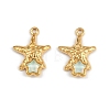 304 Stainless Steel Pendants STAS-P410-09G-1