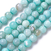 Natural Dyed Agate Imitation Turquoise Beads Strands G-P425-02A-12mm-2