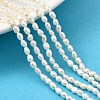 Natural Cultured Freshwater Pearl Beads Strands PEAR-I007-01K-02A-1