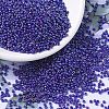 MIYUKI Round Rocailles Beads X-SEED-G007-RR0484-1