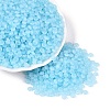 Transparent Glass Seed Beads SEED-Q041-01I-2