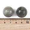 Natural Labradorite Sphere Beads GG-D003-A13-3