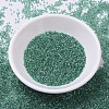 MIYUKI Delica Beads SEED-J020-DB0060-3