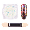 Nail Art Glitter Powder MRMJ-Q046-009G-1